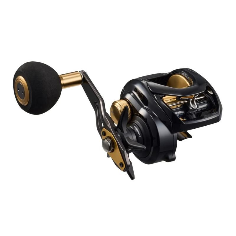 ダイワ DAIWA カゴ遠投用両軸リール シーホーク TW 遠投
