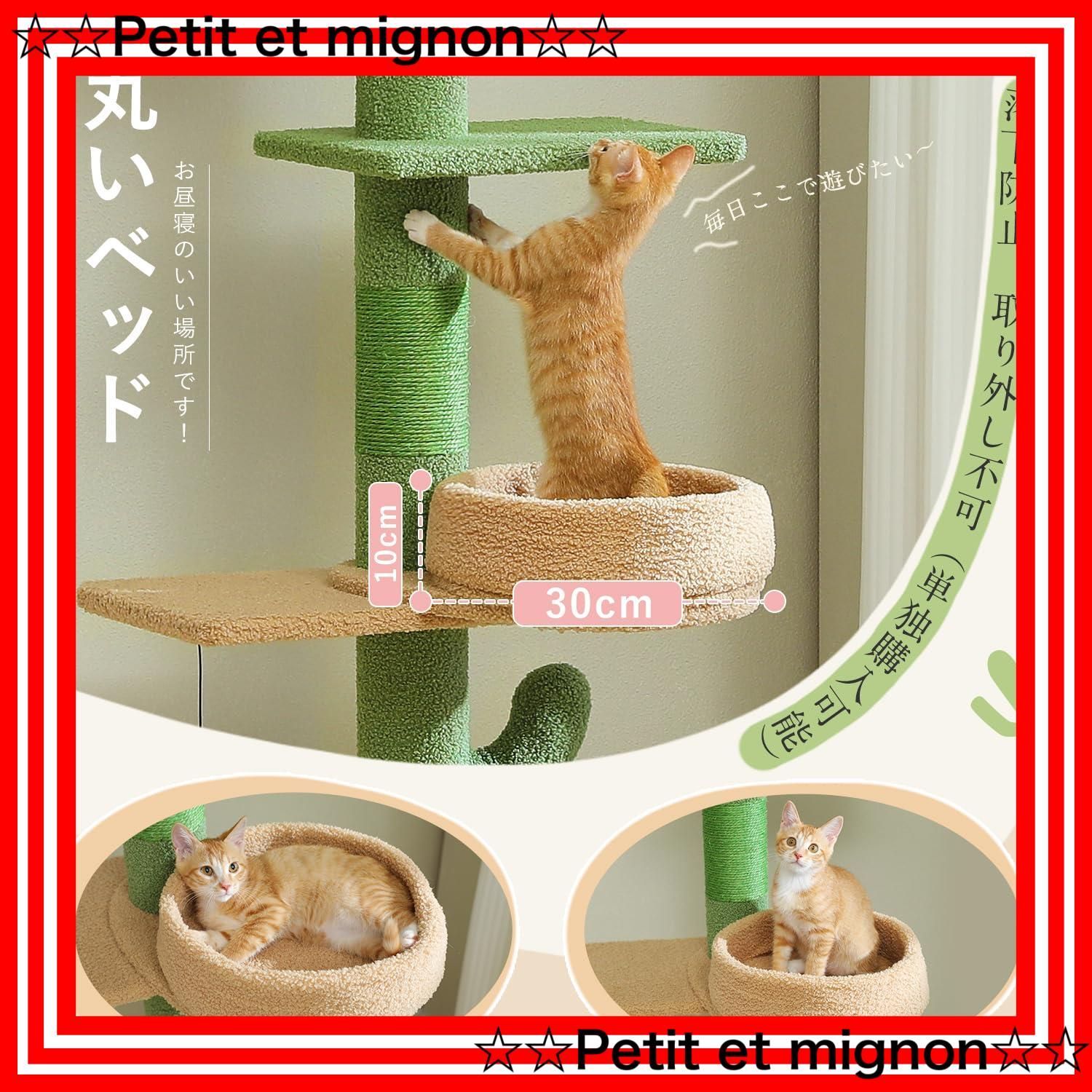 キャットタワー 突っ張り サボテン スリム 高さ調整幅205~255cm