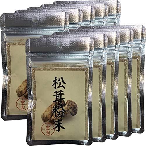 テディベア アニマル・アーティスト T&F Bears 鈴木史乃 美品 コレクション