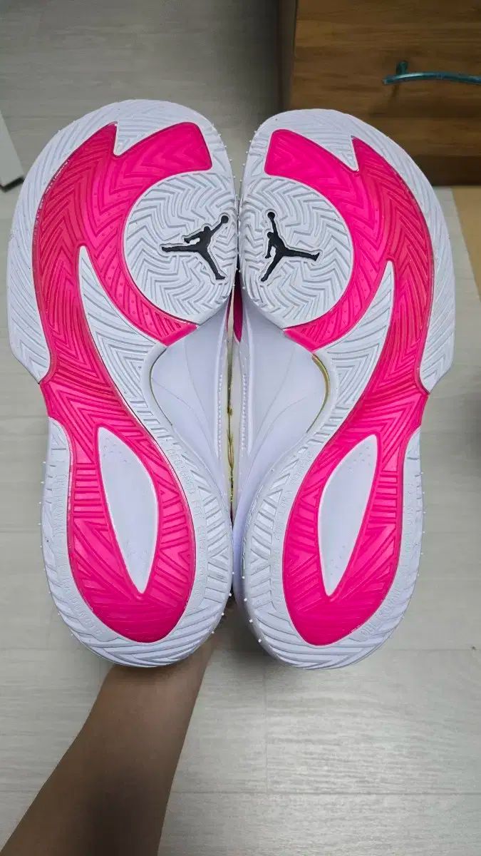 ナイキ ジョーダン ルカ3 SE PF 320 mm