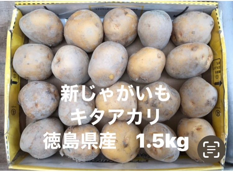 新じゃがいも キタアカリ 10kg箱込 ML 徳島県産 農家直送 - メルカリ