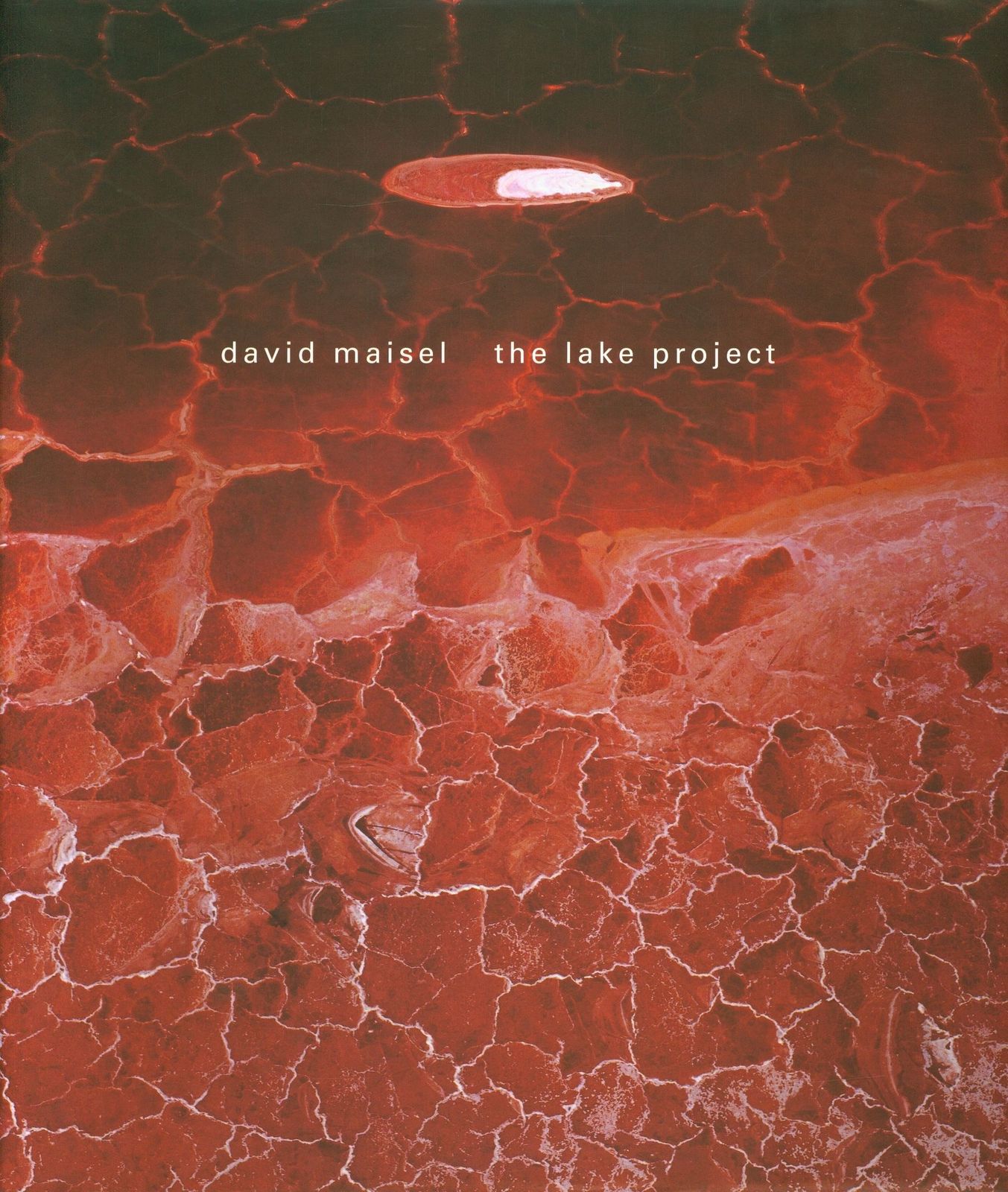 David Maisel The Lake Project