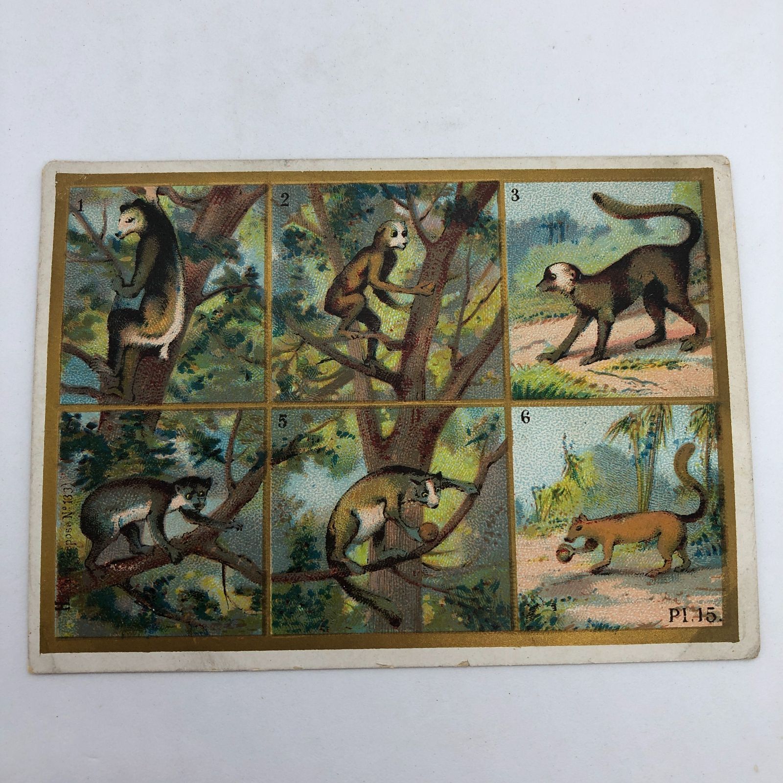 まとめ売り クロモカード ジャンクジャーナル フランス アンティーク 11枚セット! まとめ 】クロモカード フランス アンティーク