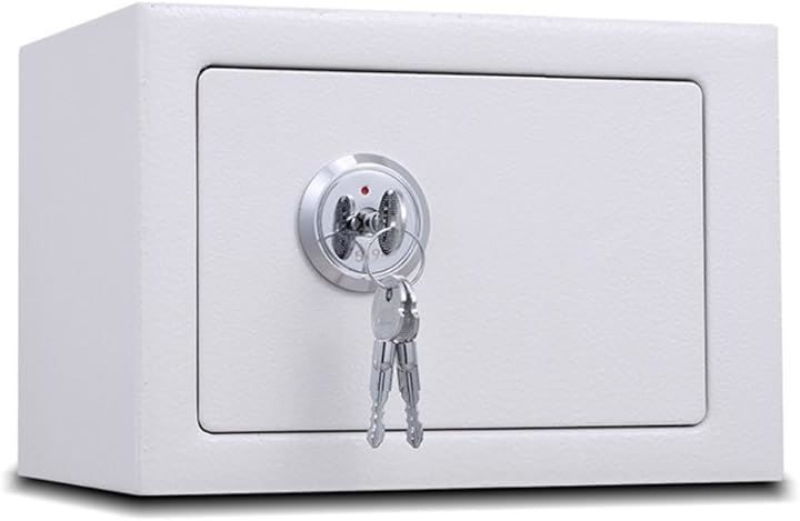 Asdays 金庫家庭用 耐火金庫 戸建て金庫 シリンダー式 5L 23x17x17cm ホワイト