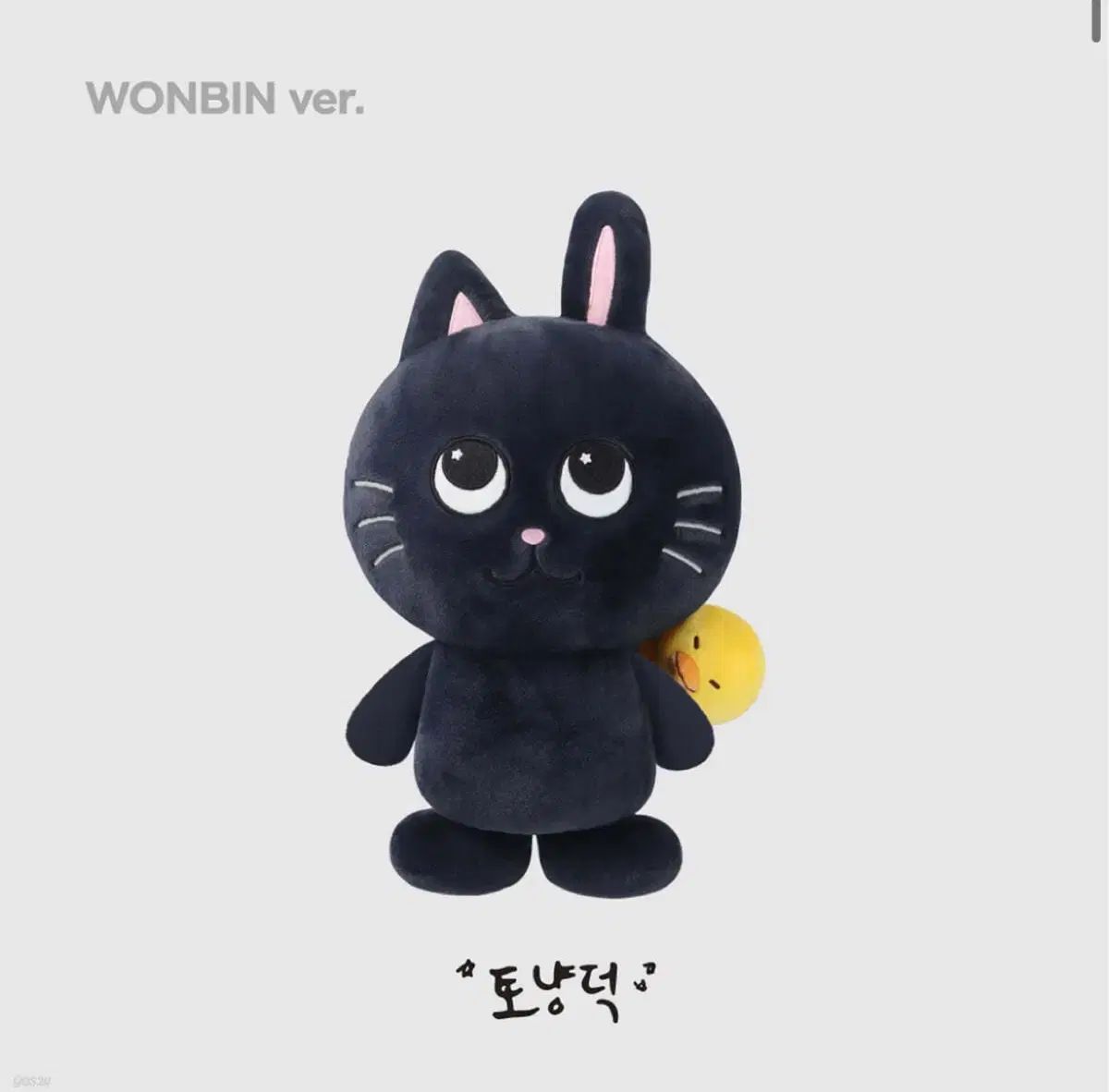 RIIZE ウォンビン ぬいぐるみ RIIZE(ライズ) ウォンビン(WONBIN) 40cm 人形 ぬいぐるみ ぬい