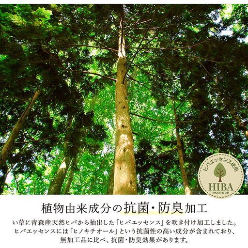 い草 ラグマット