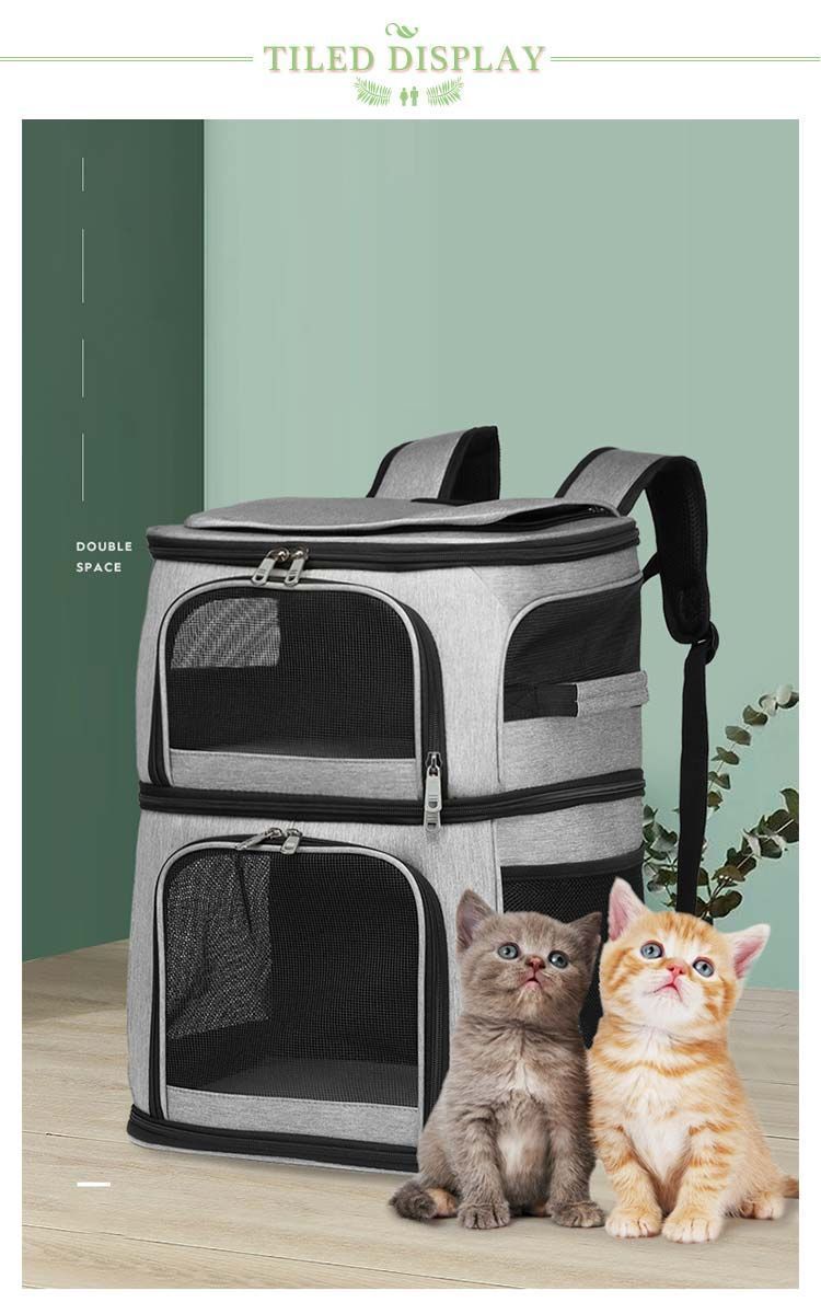 猫 2層