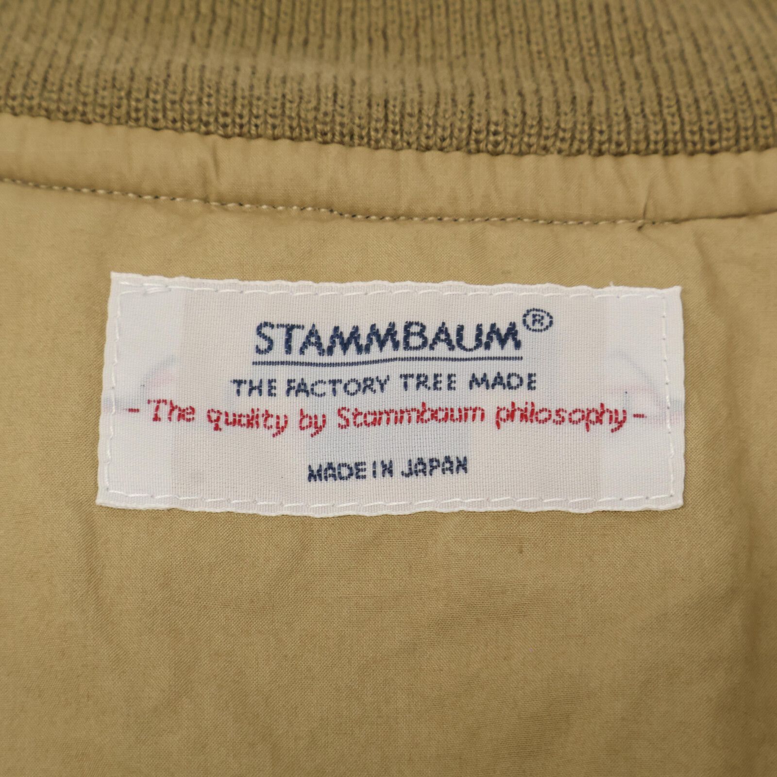 STAMMBAUM