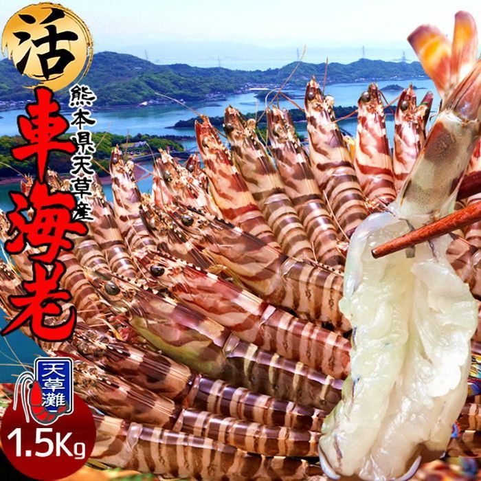 公長齋小菅 創作竹かごバッグ/南仙作/巾着大島紬/未使用 竹かごバッグ 京都