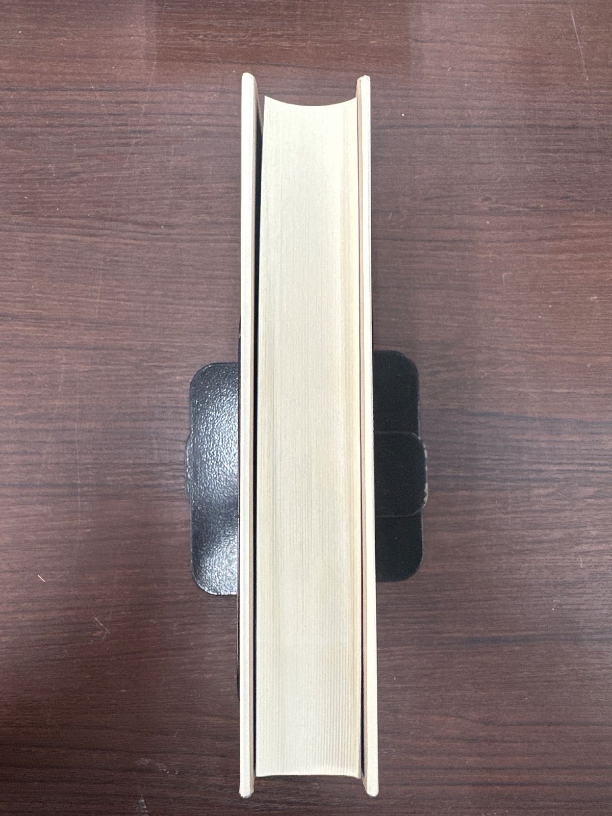 犬と人が出会うとき 異種協働のポリティクス ダナ ハラウェイ