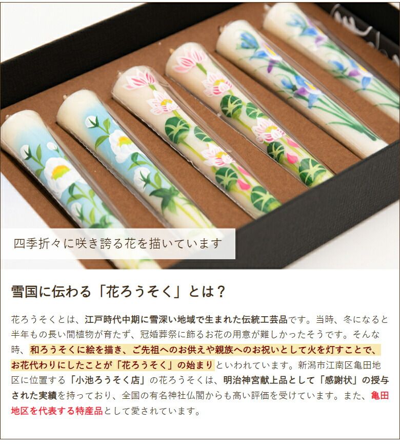四季の花