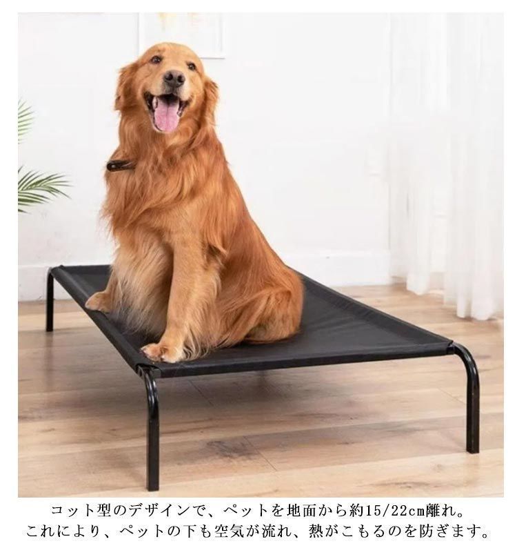 涼し erika6555