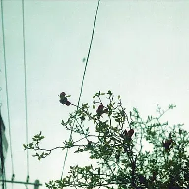 2025年最新】待ちくたびれて朝がくるの人気アイテム - メルカリ