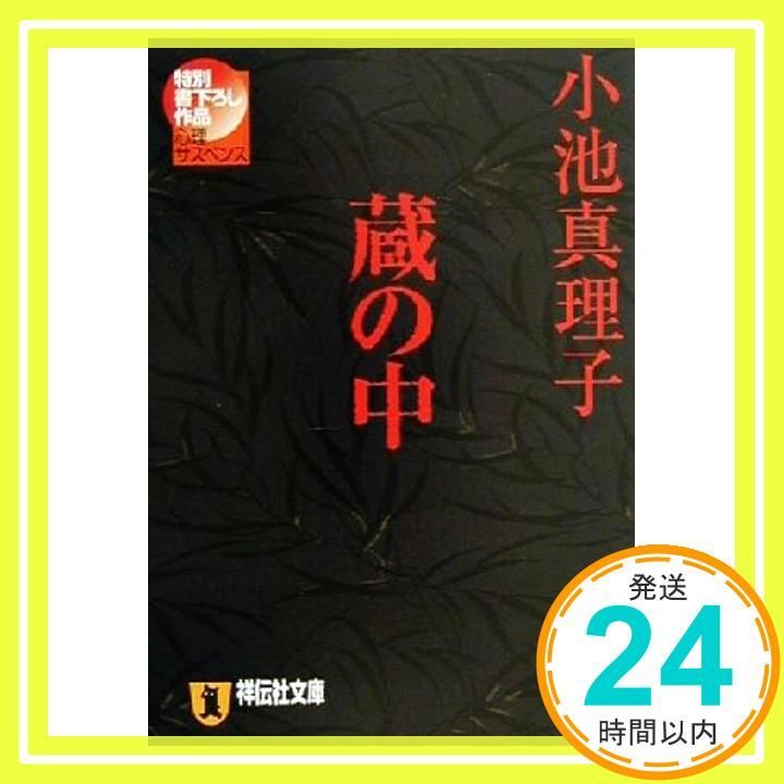 蔵の中 心理サスペンス 祥伝社文庫 こ 6-4 小池 真理子_02