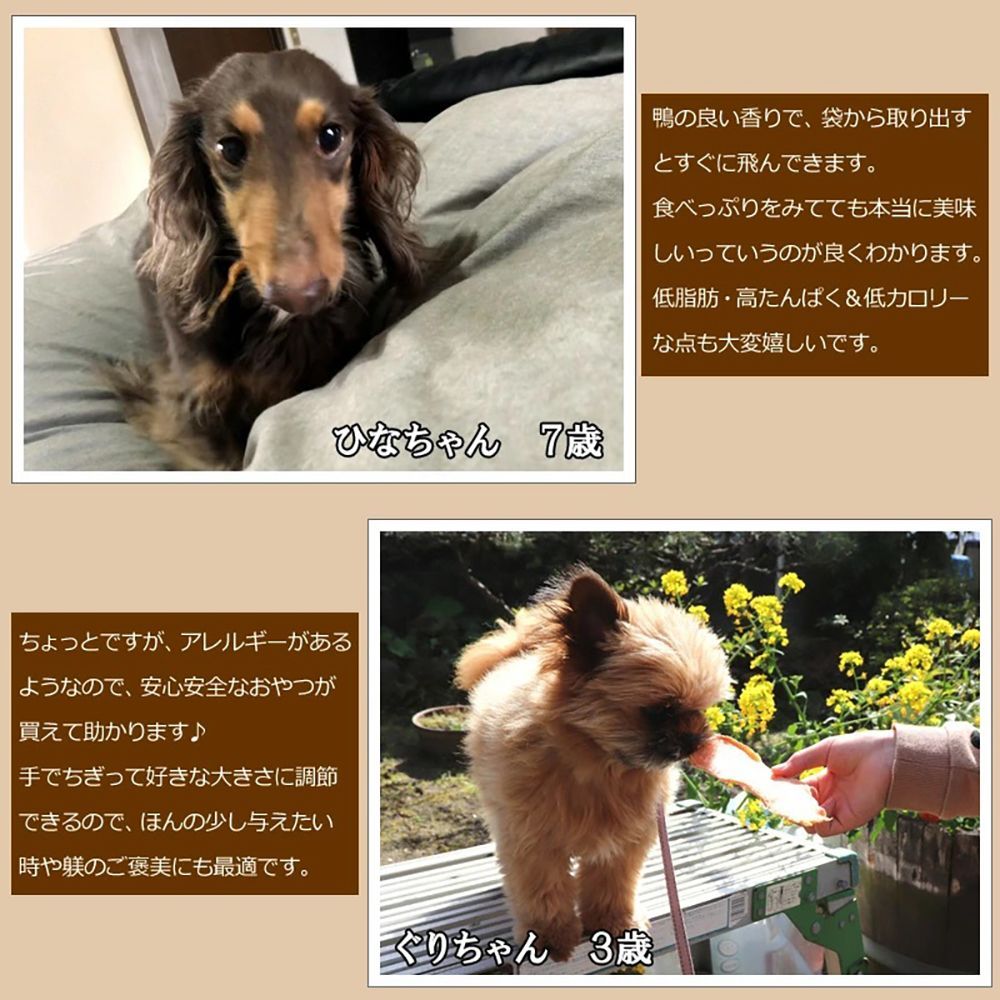 無着色 ITFC