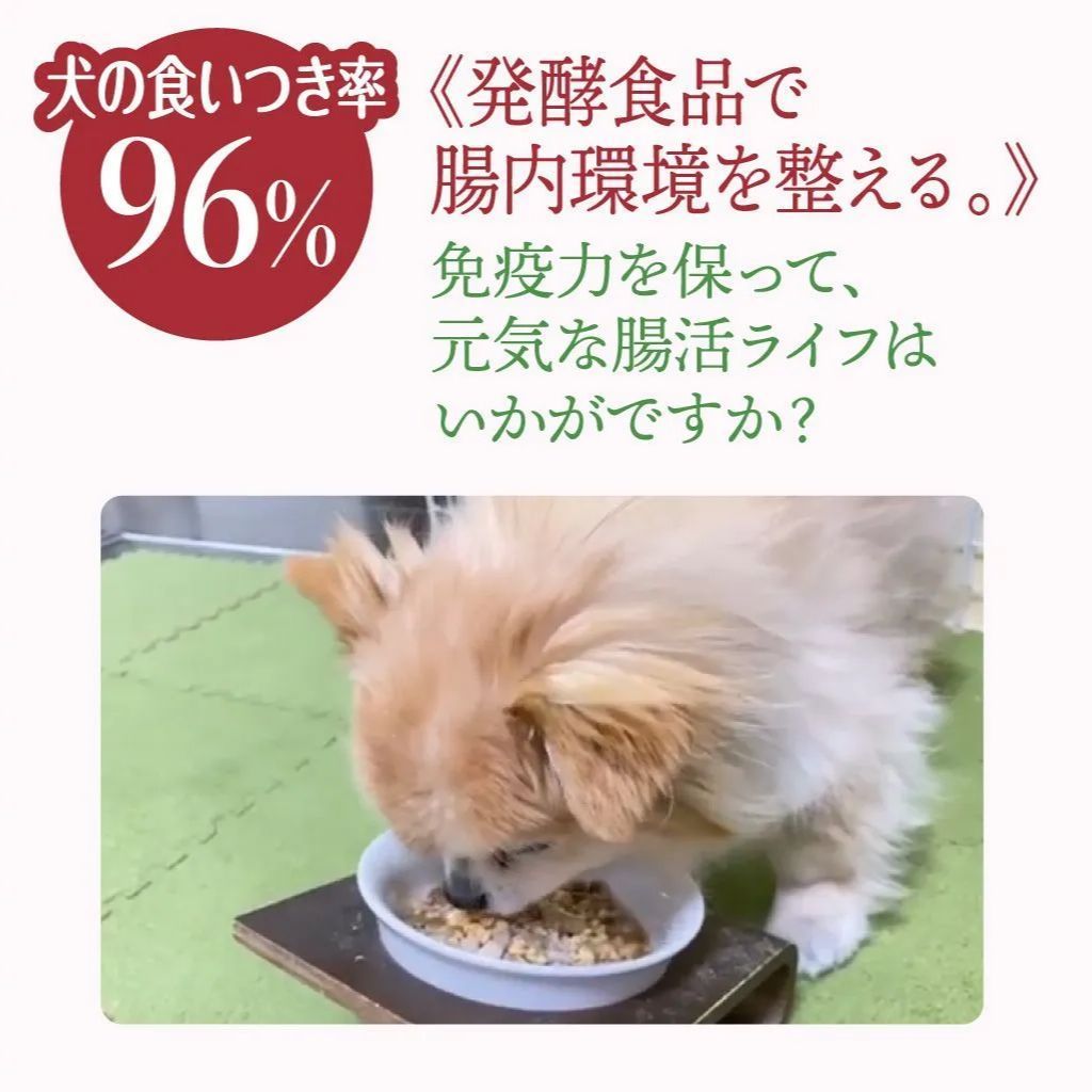 犬猫用　納豆ふりかけ＆納豆パウダーお試しセット【各1個ずつ】【ネコポス】