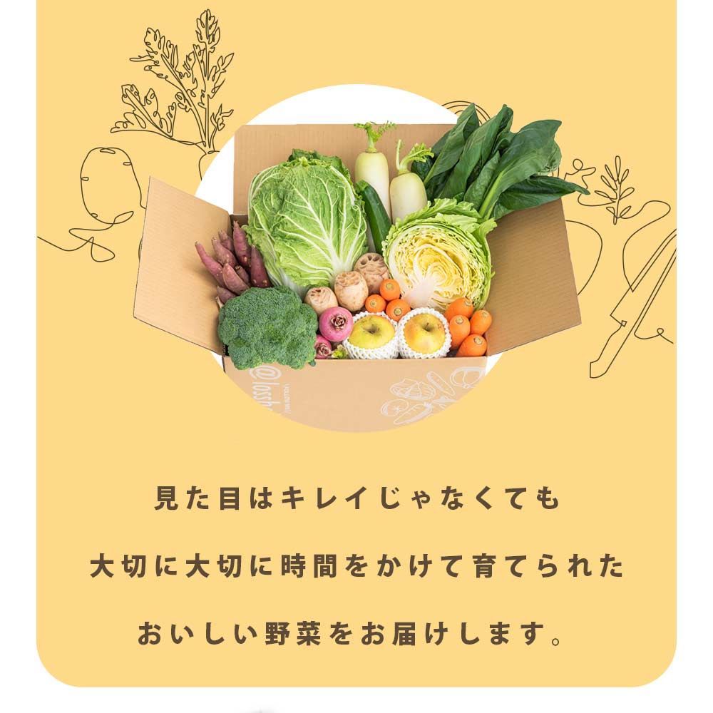 5月22日(木)の発送 】ロロスヘル 野菜 果物 詰め合わせ セット