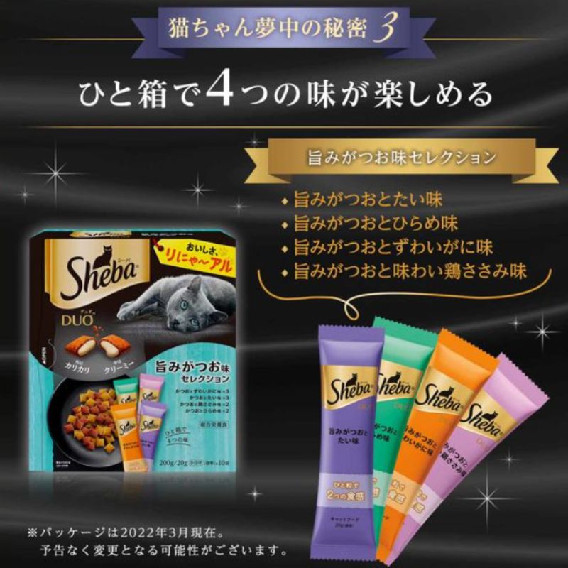 キジトラ 茶トラ