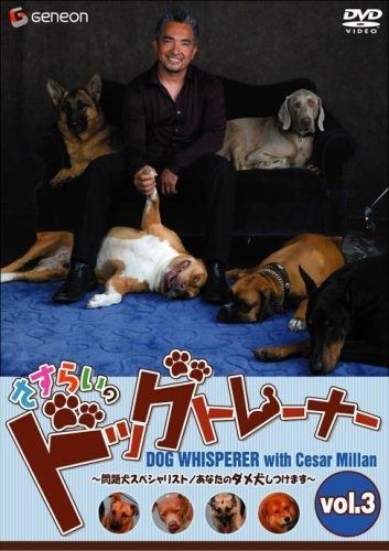 さすらいのドッグトレーナー Vol.5~問題犬スペシャリスト Amazon.co.jp: さすらいのドッグトレーナー Vol.5~問題犬