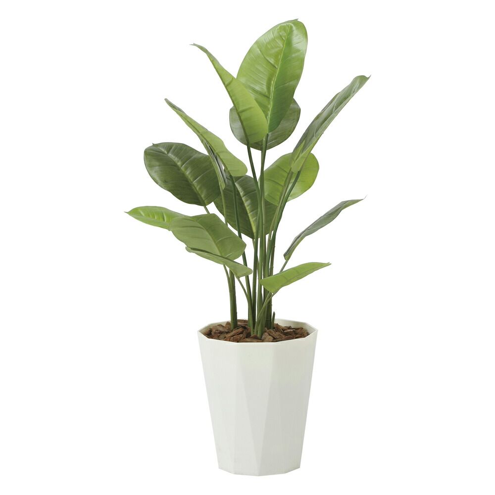 光触媒　人工観葉植物　フェイクグリーン　フレッシュアーバンウンベラータ1.8 光触媒観葉植物 アーバンブランチウンベラータ1.8 〔フロアタイプ