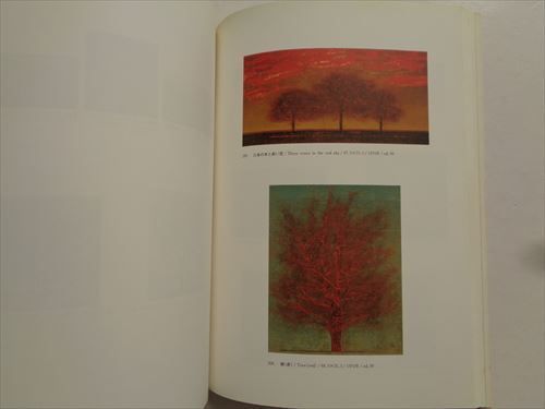 星襄一 木版全作品集 1956-1979 貴重な画集 星襄一 木版画全作品集 1956-1979 - 創業37年 美術品販売 Gallery Tanabe