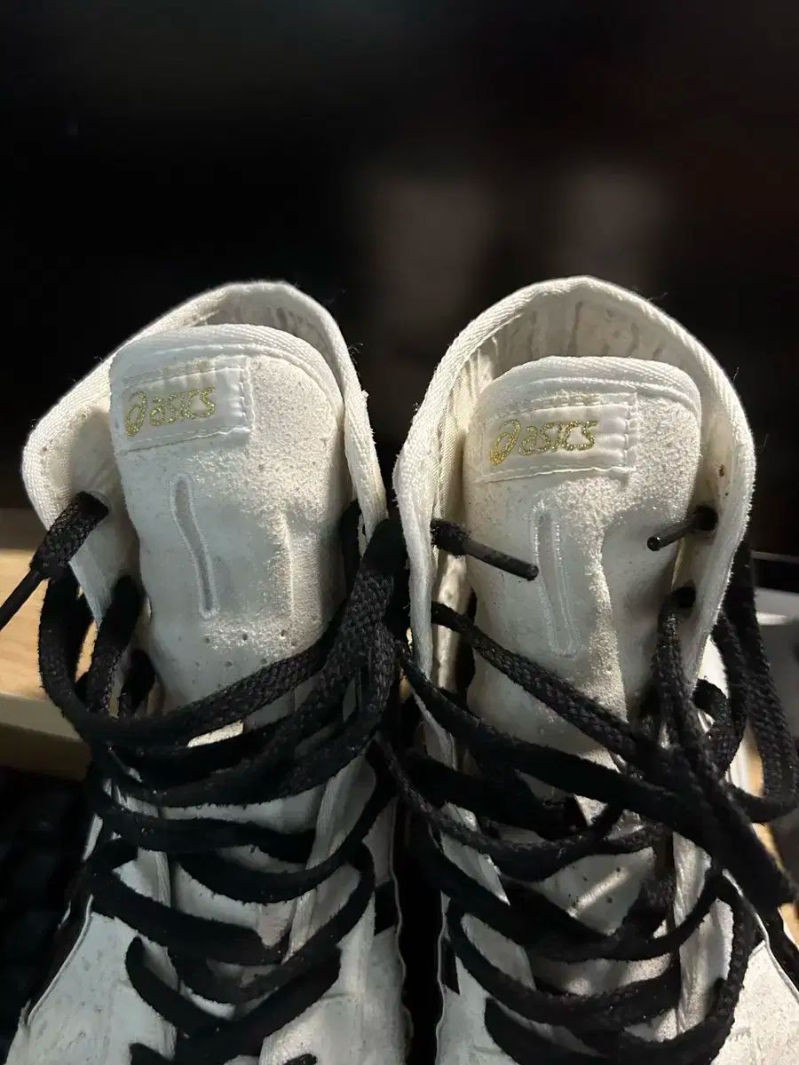 アシックス ボクシング シューズ レスリング 270