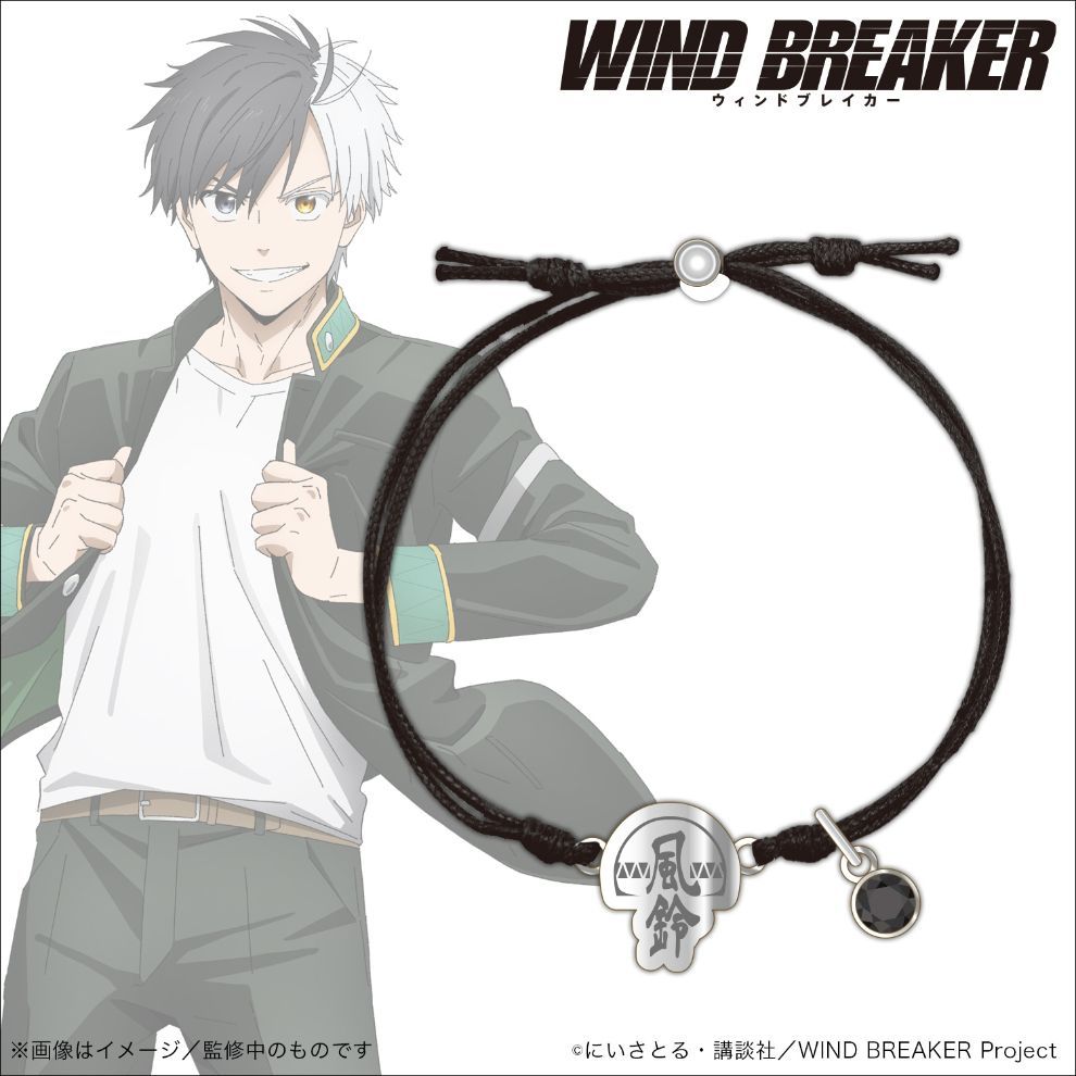 Amazon.co.jp: WIND BREAKER 桜遥セット : おもちゃ