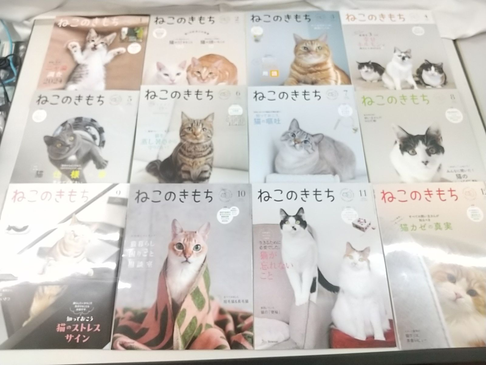 まとめ売り・バラ売り不可】ねこのきもち 2020～2024年 計49冊
