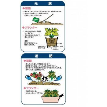 2袋セット