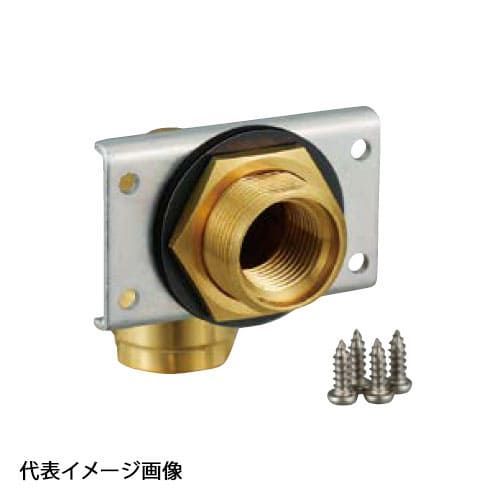 陰性水草の王様的存在Pink Variegata +ティアブルー 陰性水草の王様的