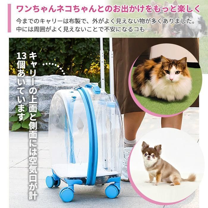 伸縮ハンドル クリア