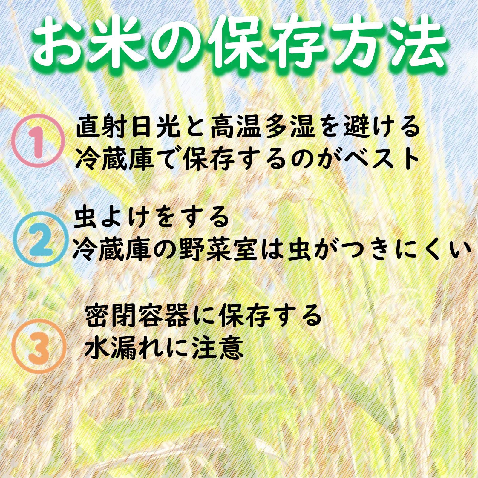 新作入荷中。 令和7年度産 山形県産米 ひとめぼれ 30ｋｇ 玄米 本日限定全品送料無料！