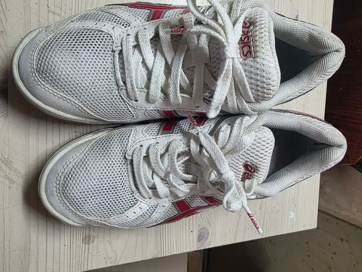 asics アシックス 宝くじ fl5 バレーボール バドミントン スポーツ大学入試 250mm