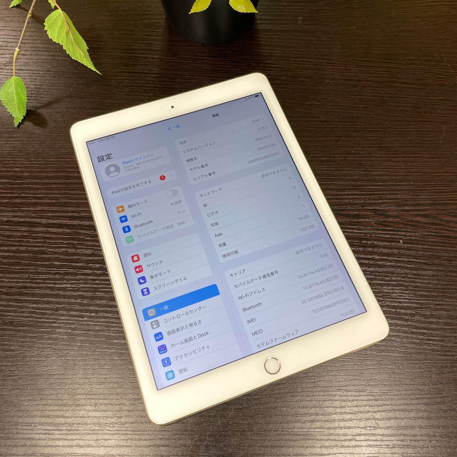 iPad Air 2 ゴールド 16GB Wi-Fi + Cellularモデル 公式通販 iPad Air2 