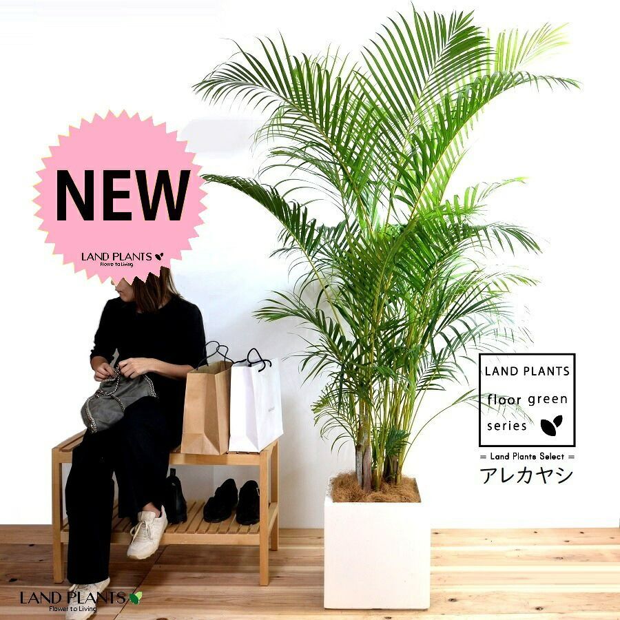 CURVE （Black）6,7,8号 3点セット 作家鉢 アガベ 大型 CURVE （Matte Black）3~8号 6点セット 作家鉢 アガベ 大型 園芸 用