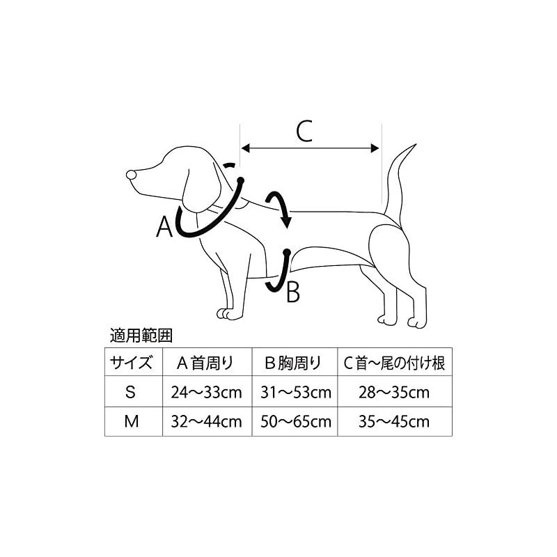 わんコル