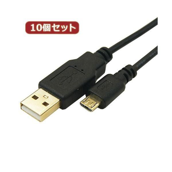 【中古】 食べてもやせるビタミンの知恵 無理なくやせるクイックスリム！/二見書房/北原怜 中古】 食べてもやせるビタミンの知恵 無理なくやせるクイック