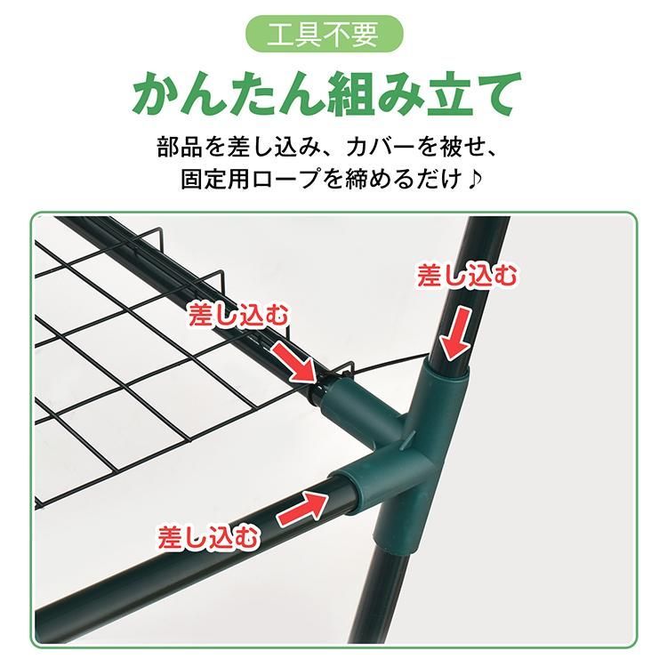 温室 家庭用