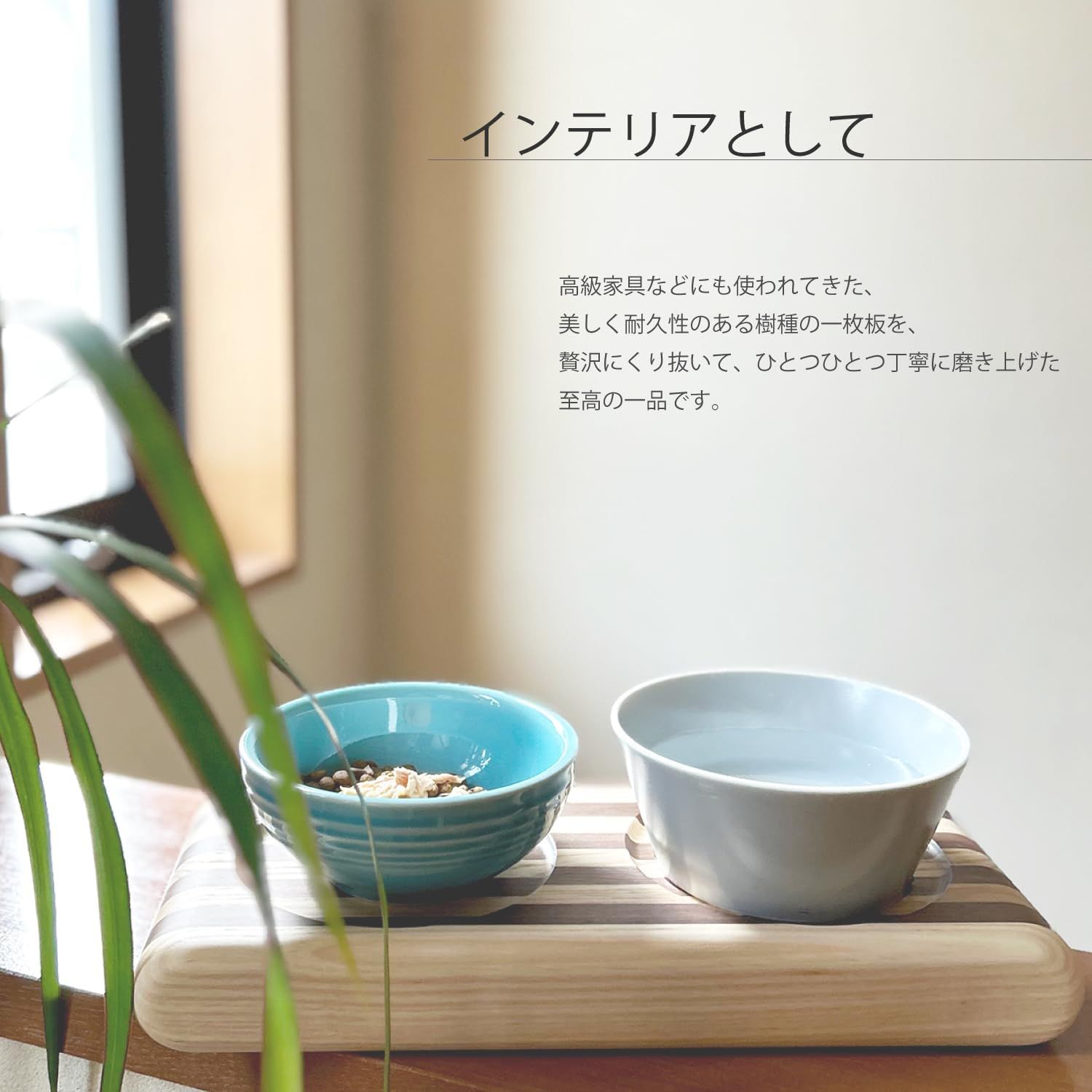 ビーチ1器用