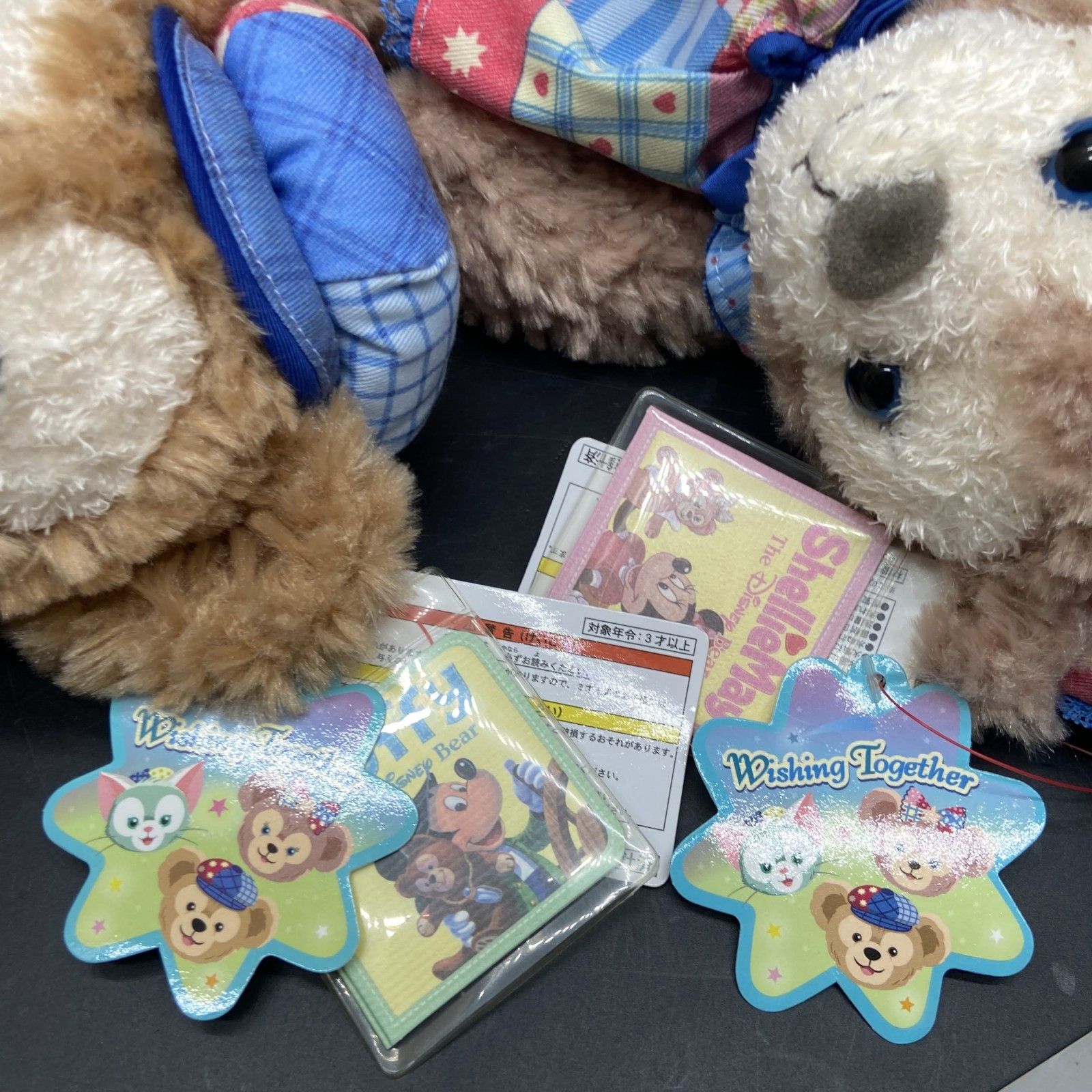 東京ディズニーシー15周年「Wishing Together」ダッフィー