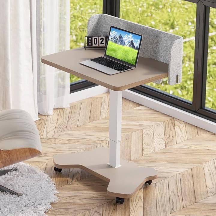 Radlove 昇降式デスク