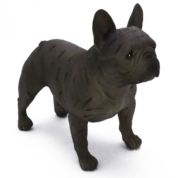 金子國義 「garconne」限定35/70 エッチングに手彩色 金子國義