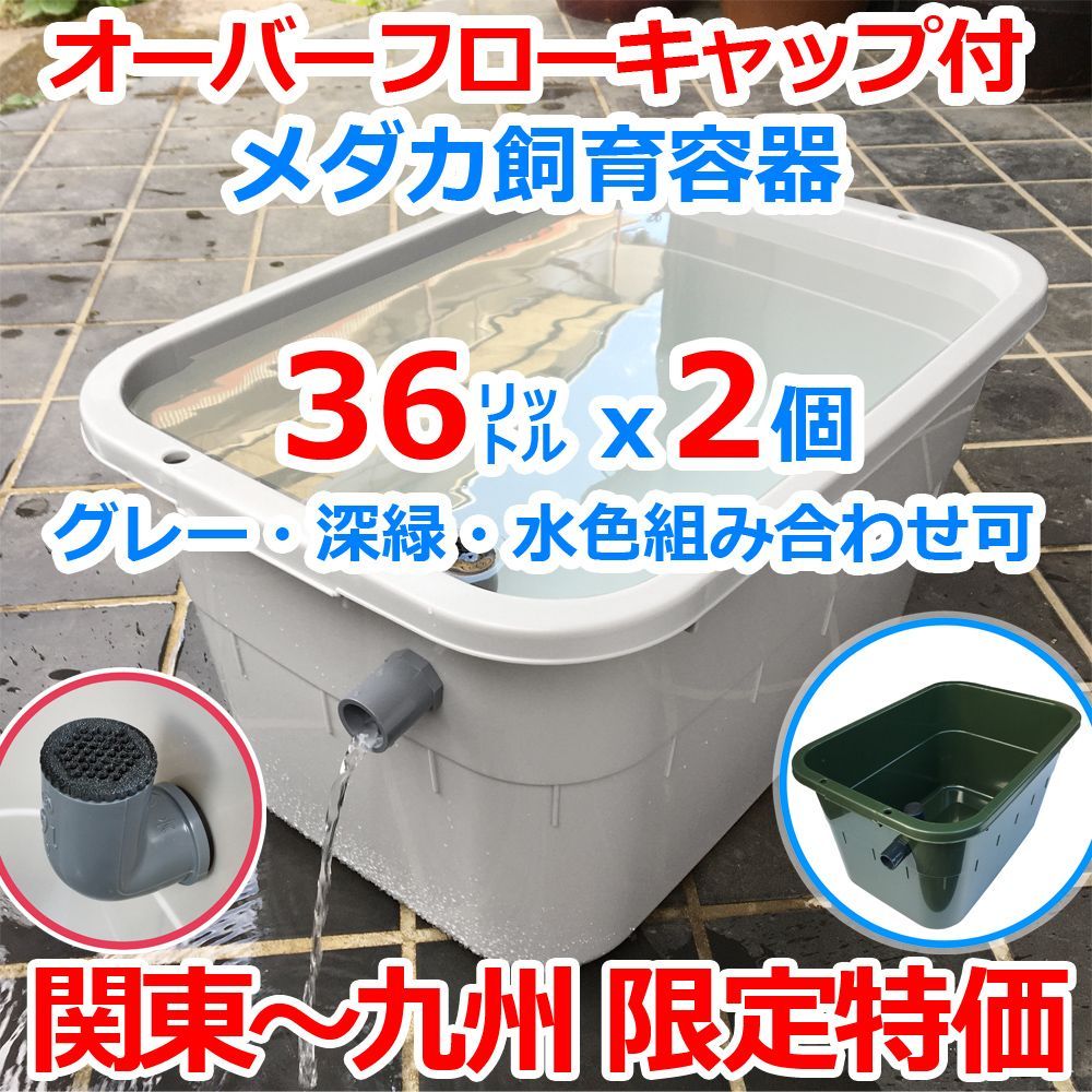 メダカ飼育ケース 36㍑x2個 オーバーフローキャップ付（関東～九州への発送限定）グレー・深緑・水色組み合わせ可 メダカ飼育容器 台風対策済 金魚  らんちゅう 睡蓮 水草 ビオトープ 水槽 タライ トロ舟 金魚鉢【約52cmx約36cmx約28.5cm】 - メルカリ