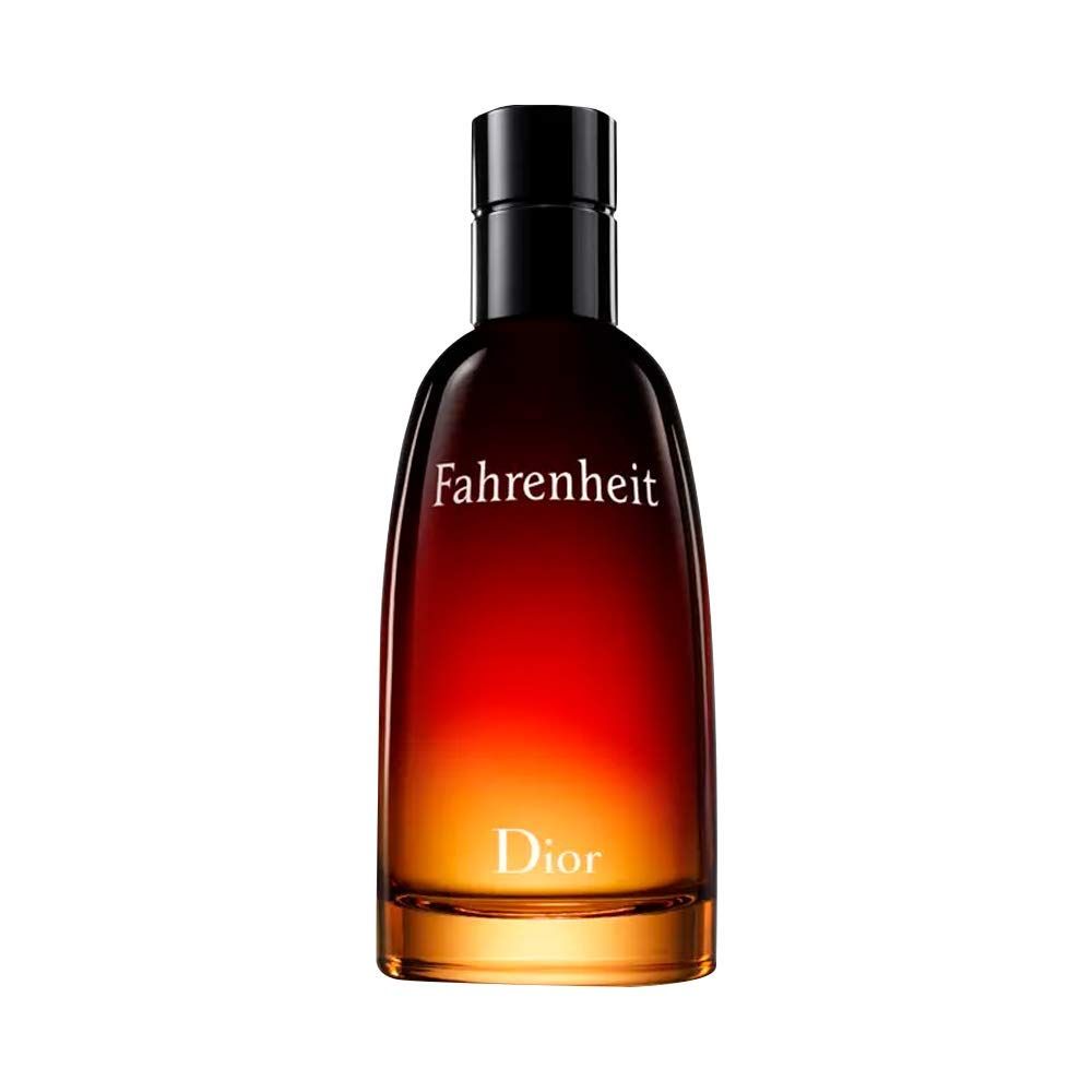 Christian Diorクリスチャンディオール ファーレンハイト EDT 100mL [並行輸入品] 
