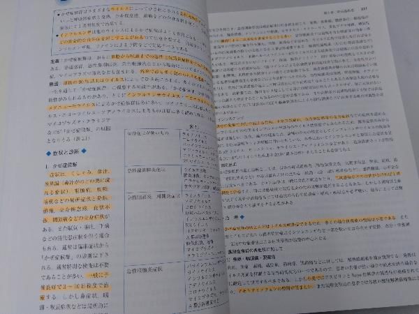 薬学生のための新臨床医学 症候および疾患とその治療 第2版 市田公美