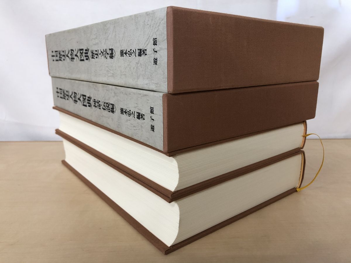 中国歴史人物大図典 2冊セット 神話 伝説編 歴史 文学編 瀧本弘之 編著 遊子館