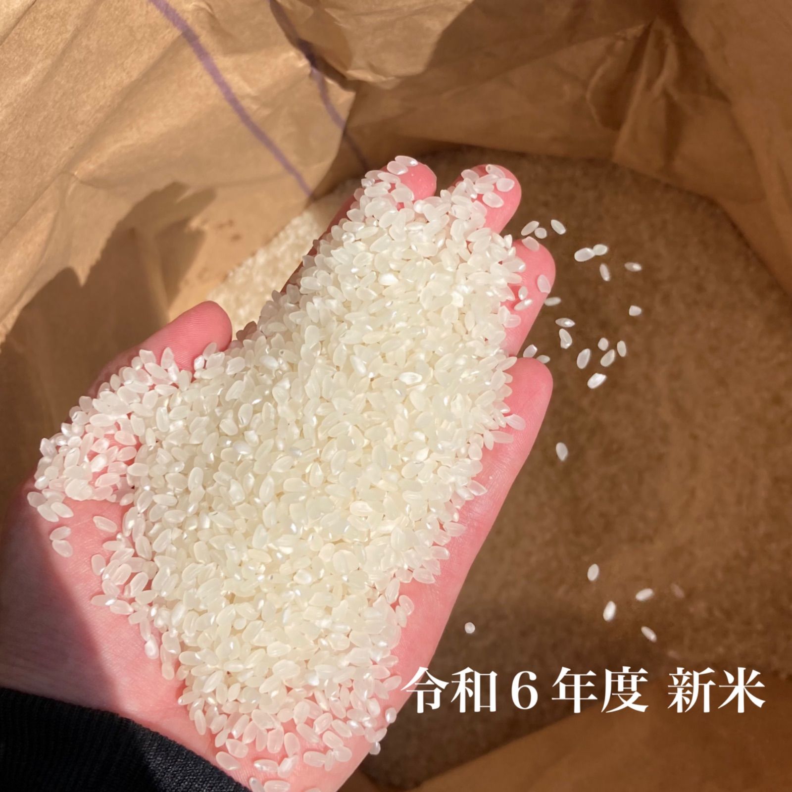 一等米 減農薬?ささ結