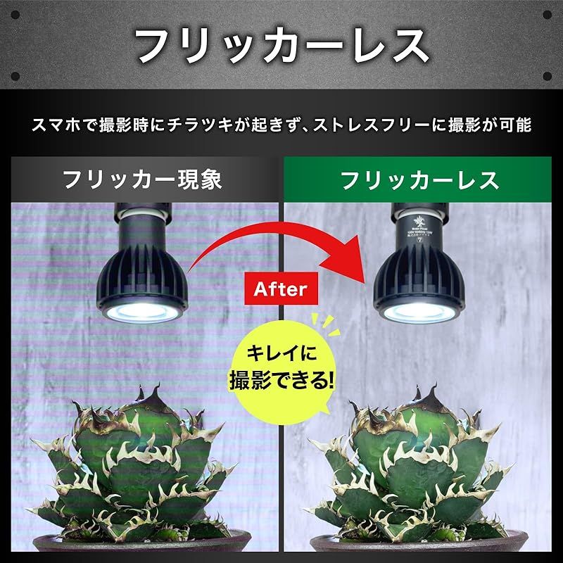 Kaiju Plant 怪獣ビームHIGH ぐんぐん育つ 室内園芸用 植物育成