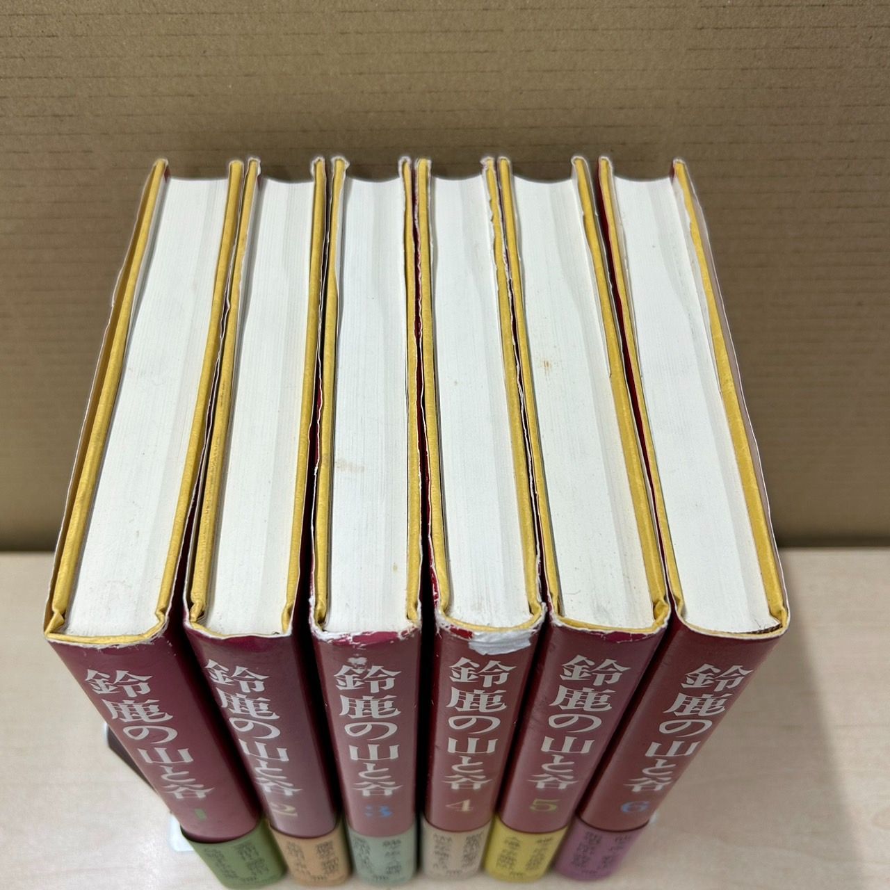 NG R304-NG1-182 鈴鹿の山と谷 1-6巻 西尾寿一著 ナカニシヤ出版 本