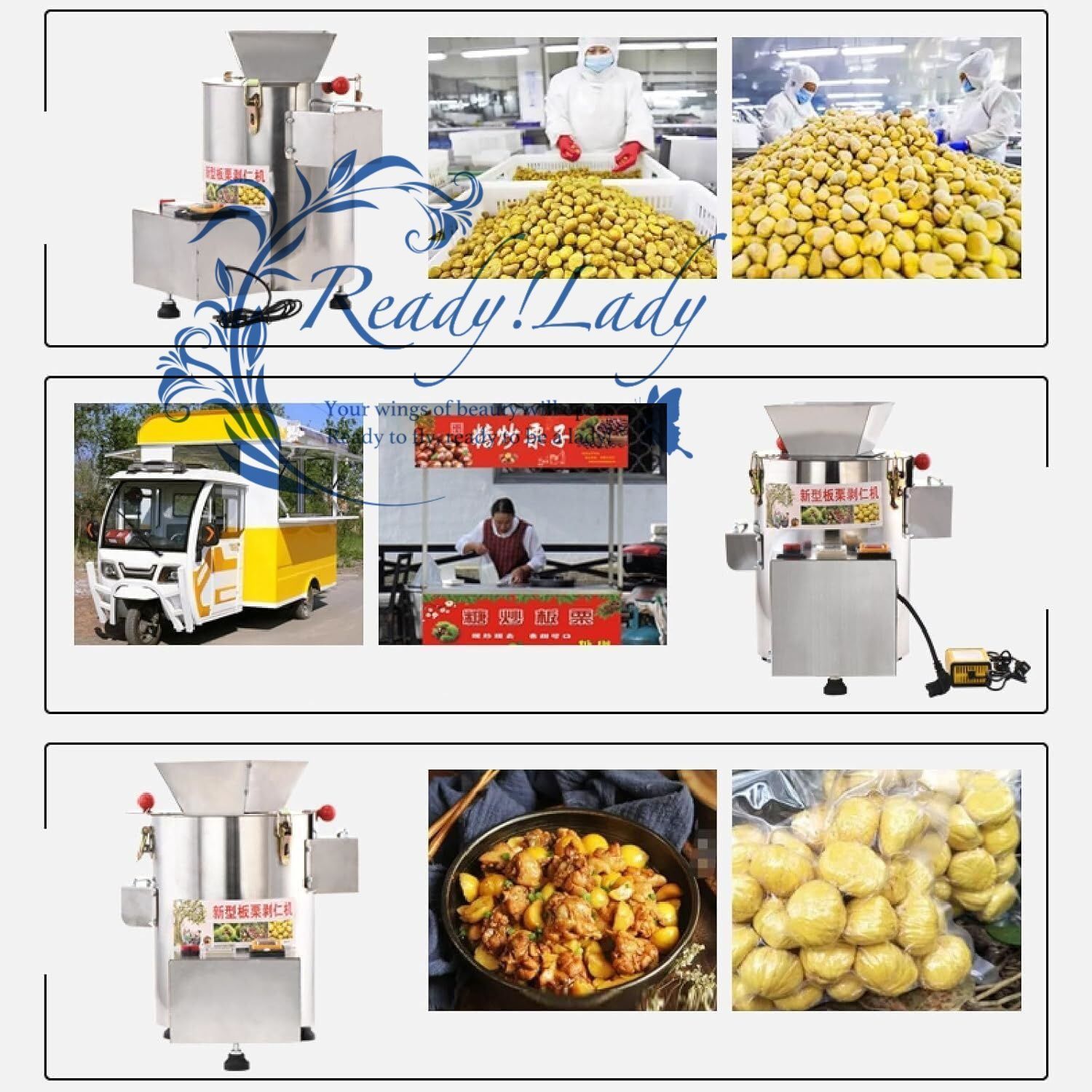 自動栗オープナー 550W栗皮むき殻むき機 150kg H商用電動栗殻むき機 高効率 栗を傷つけない
